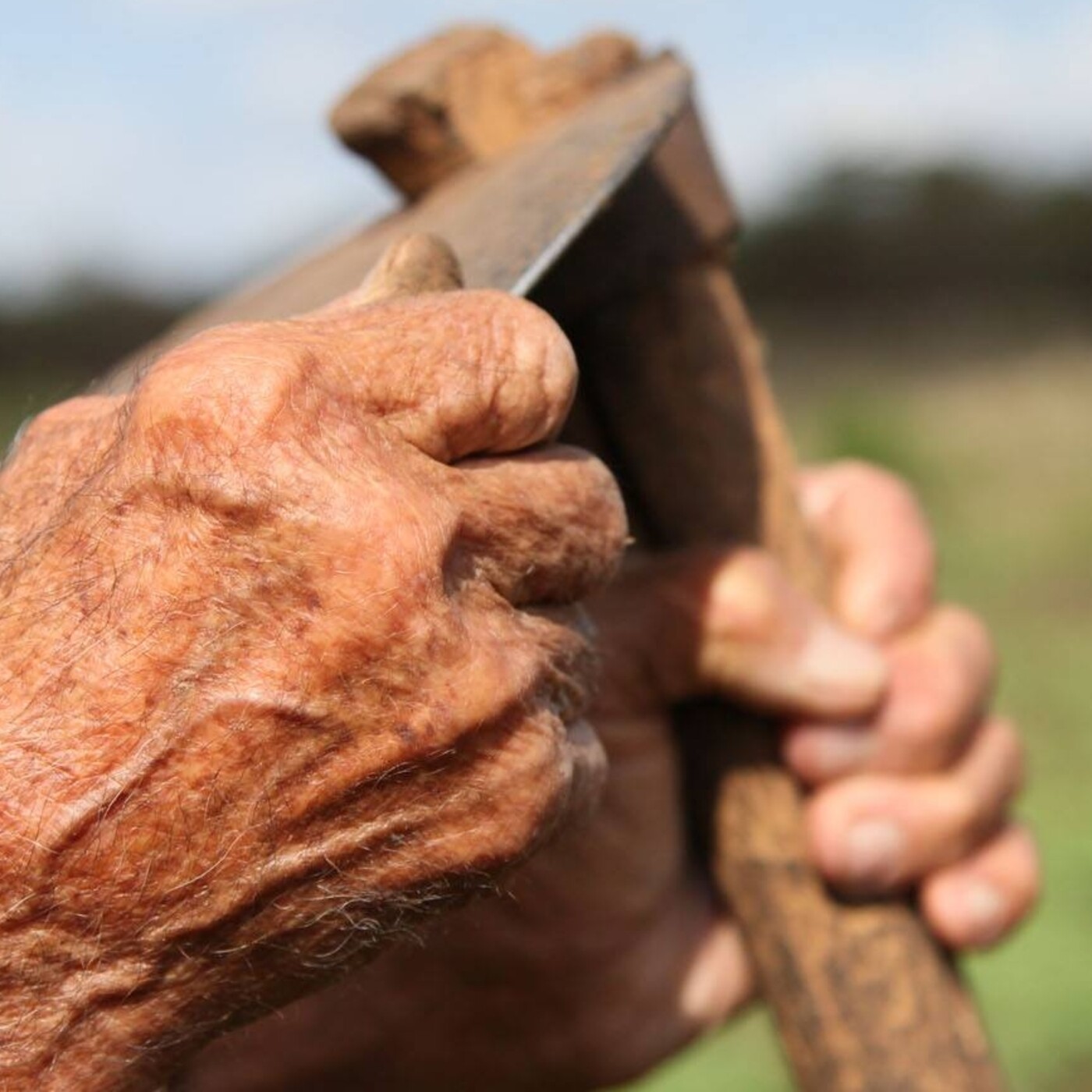 Campesinos y cooperativistas darán un sí por Cuba