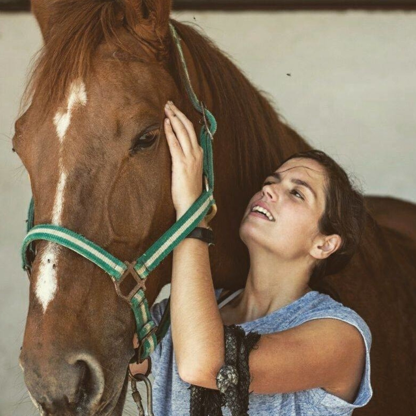 Escuela de Equitación online