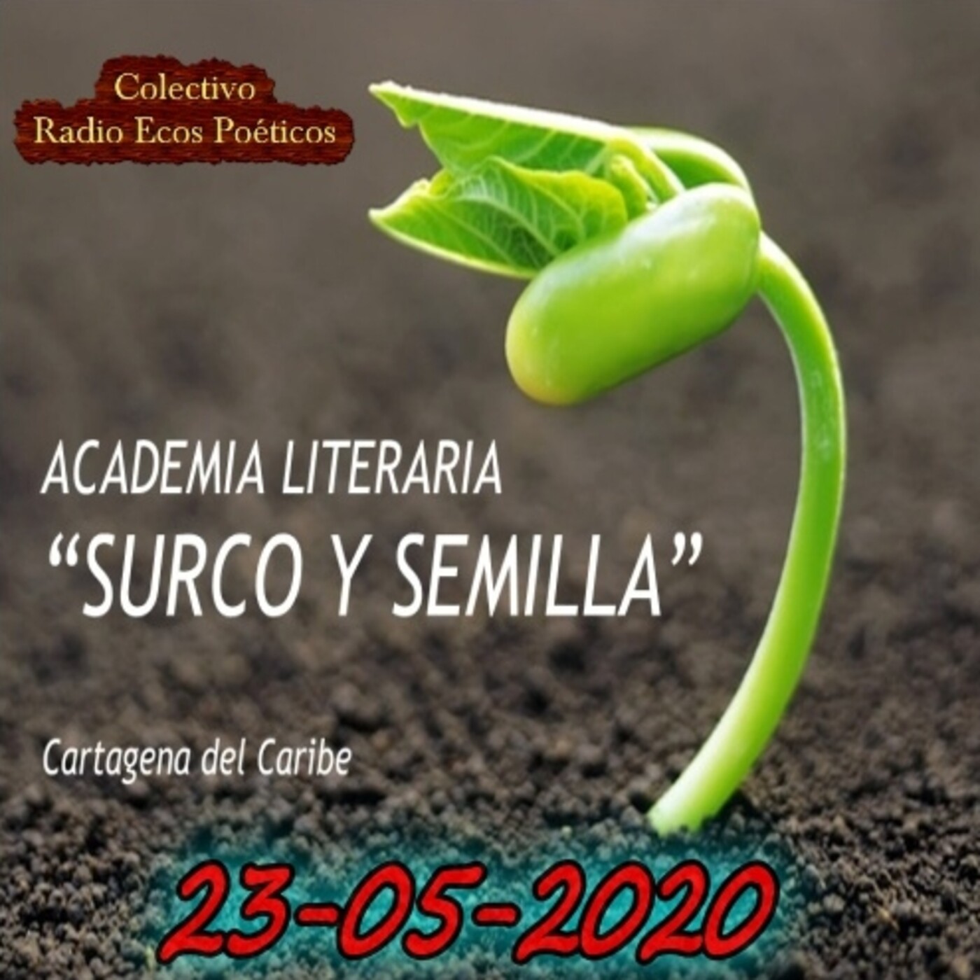 ACADEMIA LITERARIA SURCO Y SEMILLA