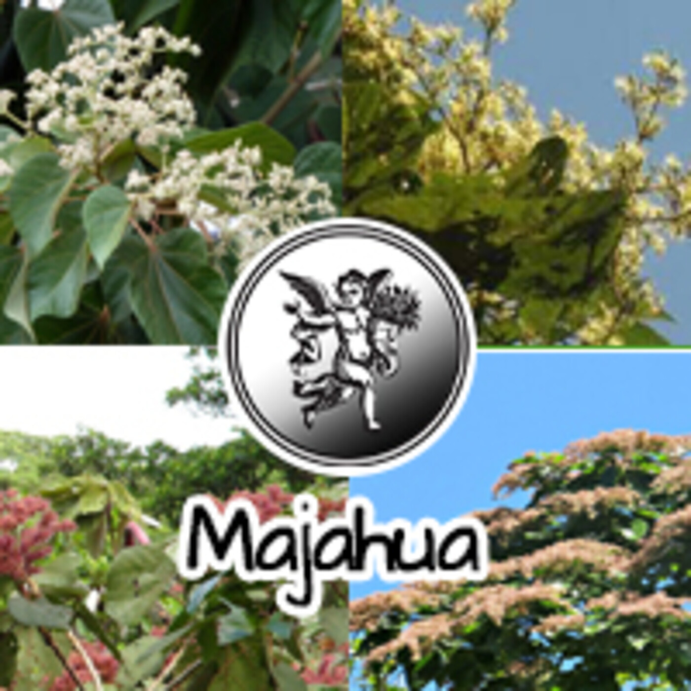 El Angel de tu Salud - MAJAHUA *** episode artwork