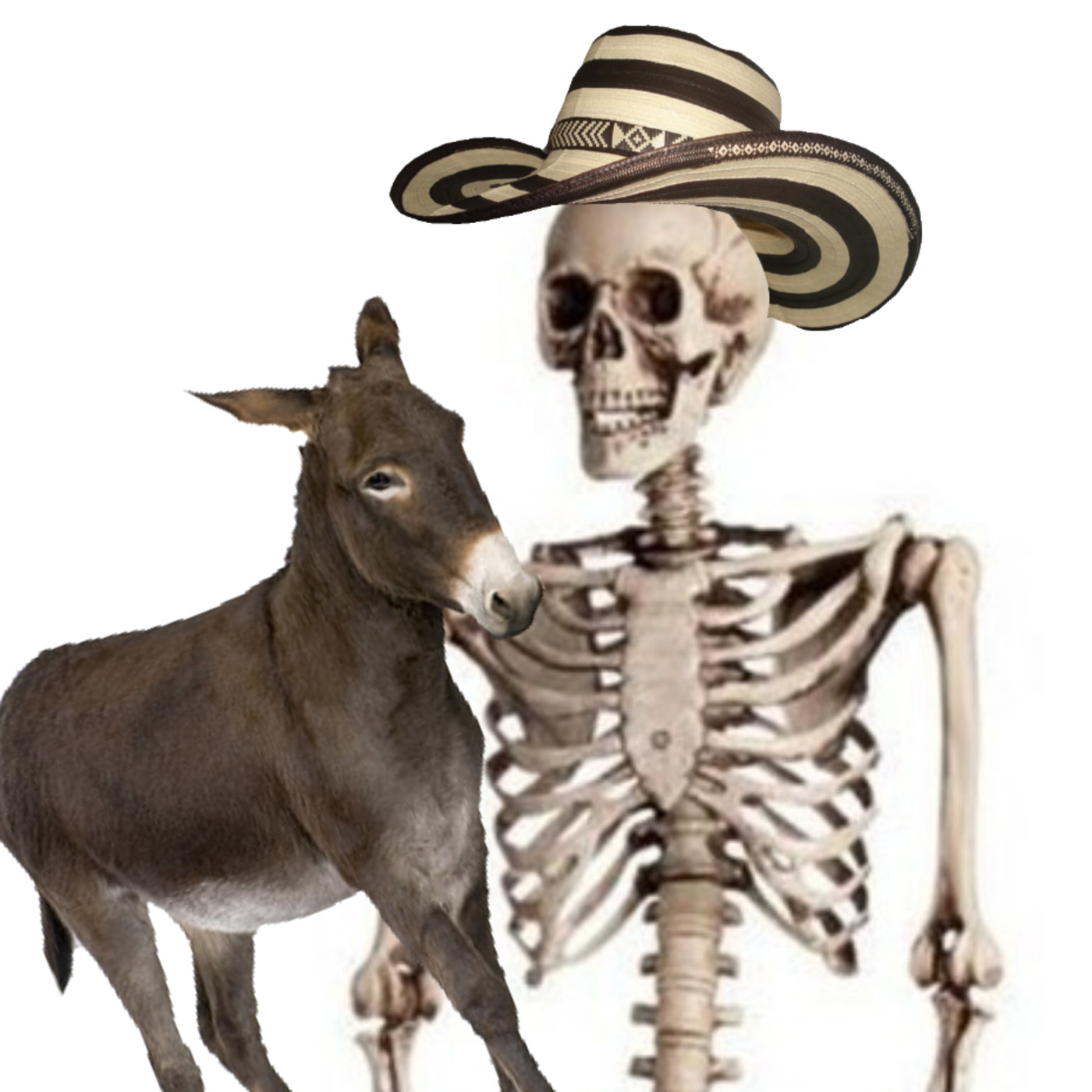 Carechimba  s h i t p o s t i n g