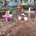 embed image