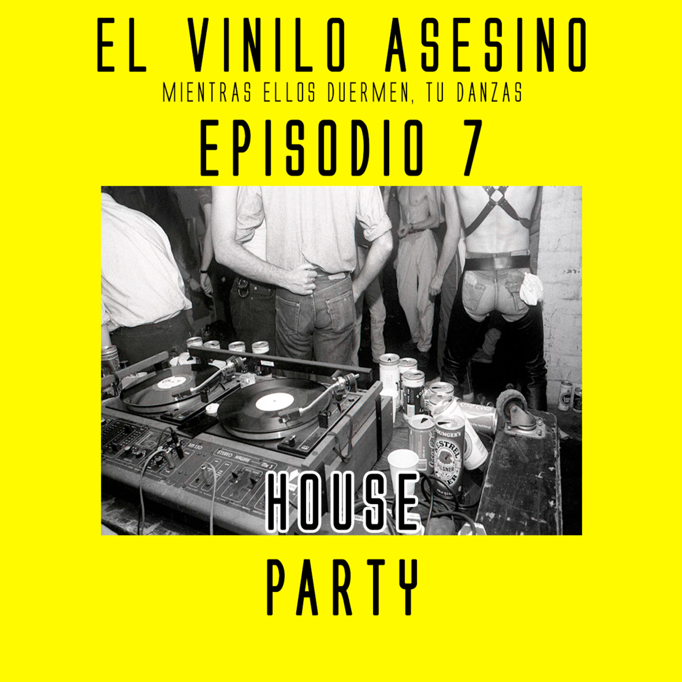 EL VINILO ASESINO