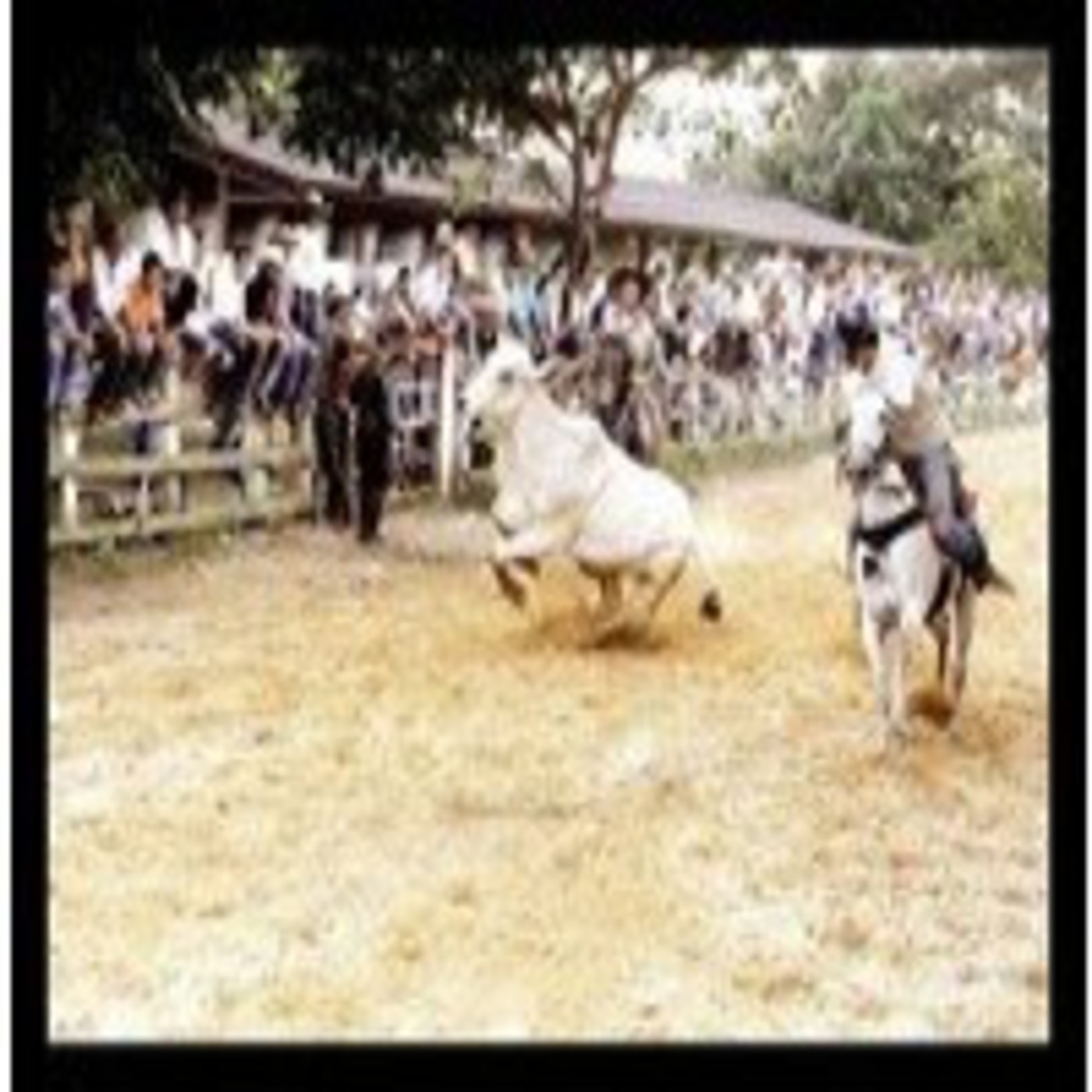 maoradio-educativo