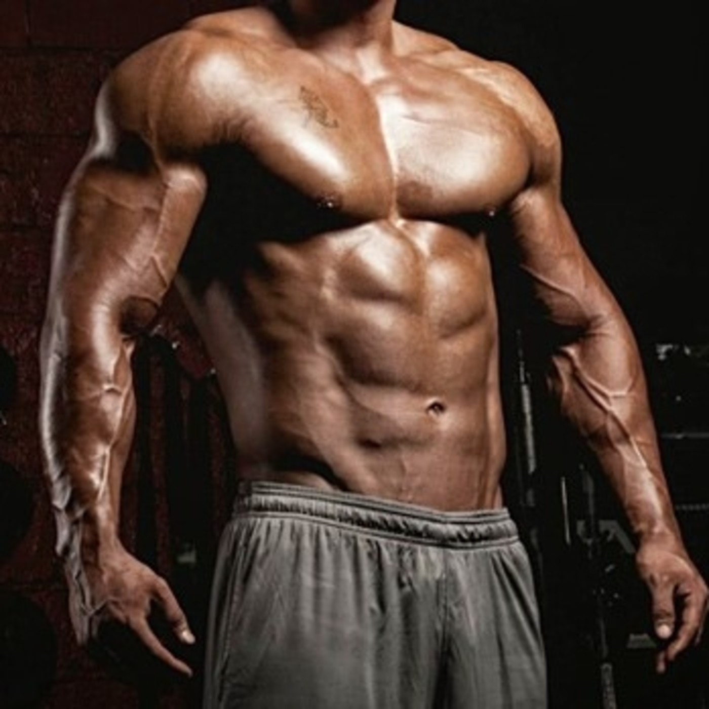 ENTRENAR CON CIENCIA