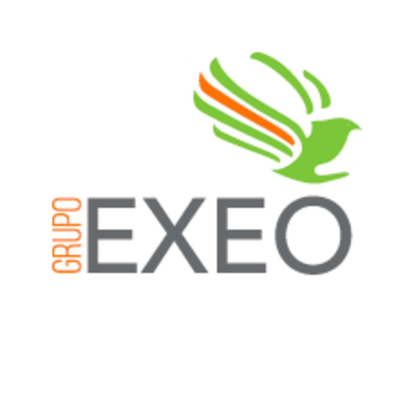 GRUPO EXEO