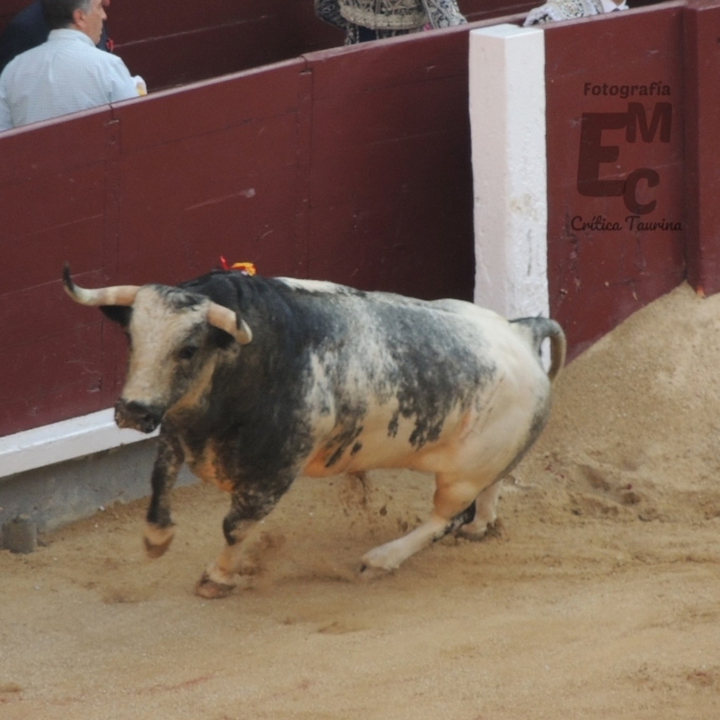 Crítica Taurina