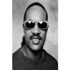 LOS RECLÁSICOS-Stevie Wonder