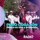 Puro corazÓn