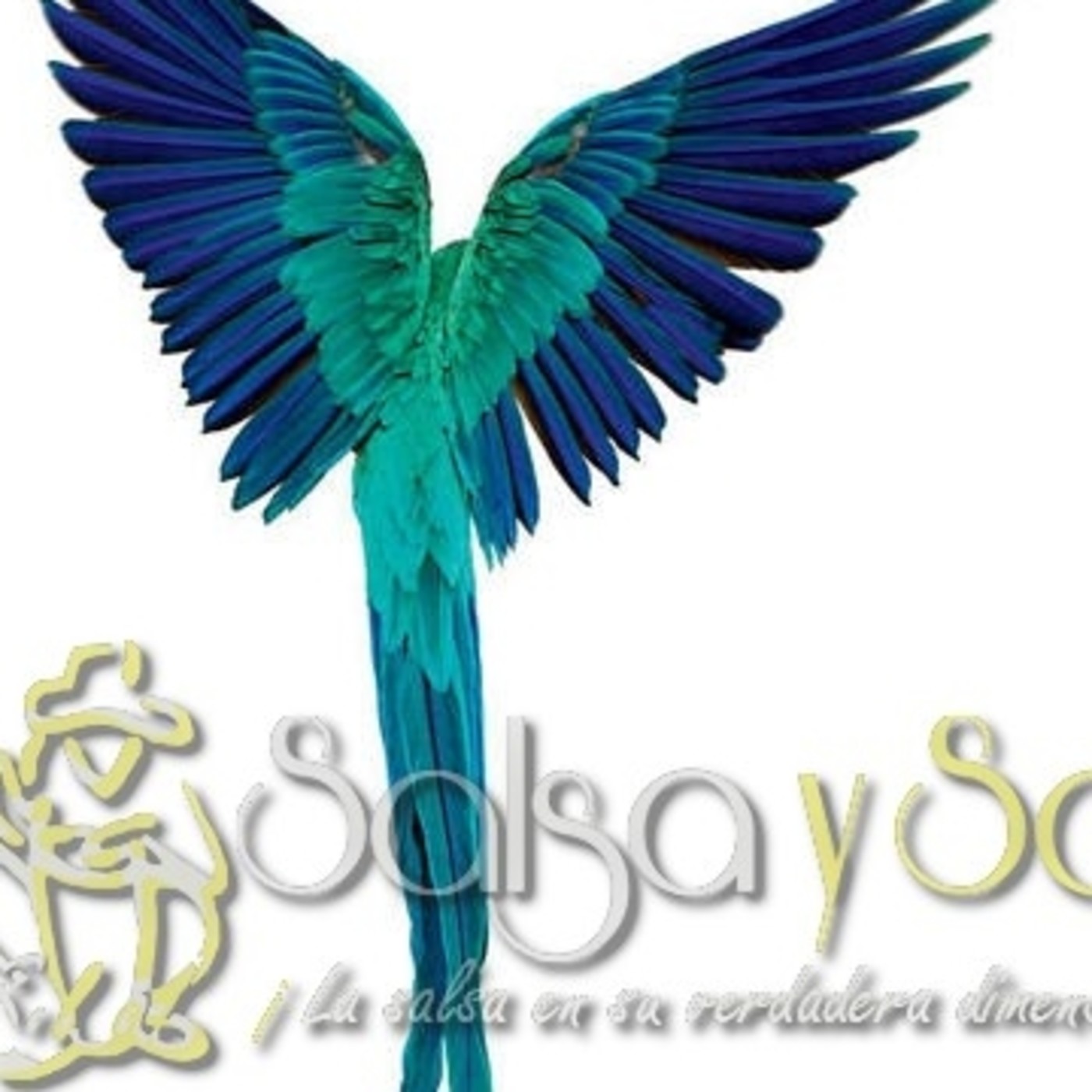 Podcast de salsa y son
