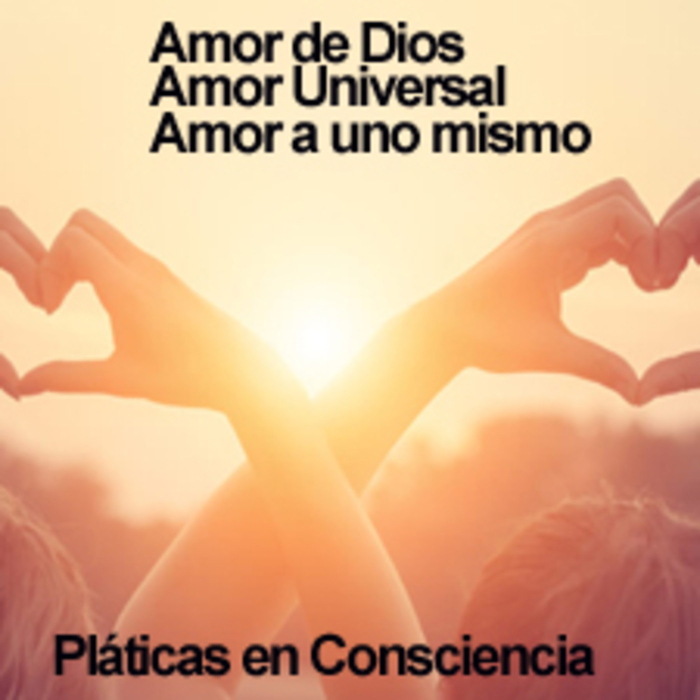 Pláticas en consciencia