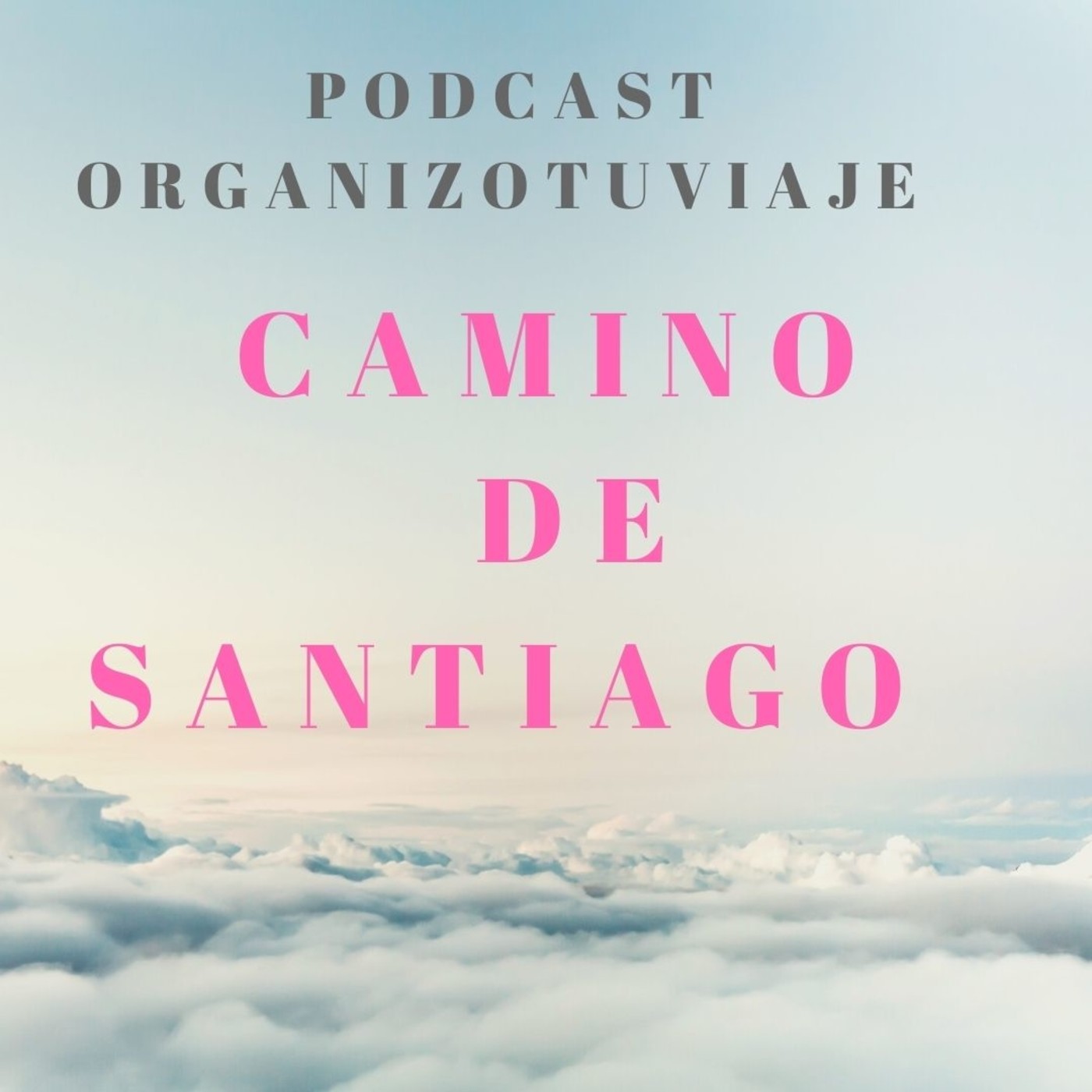 Organizotuviaje