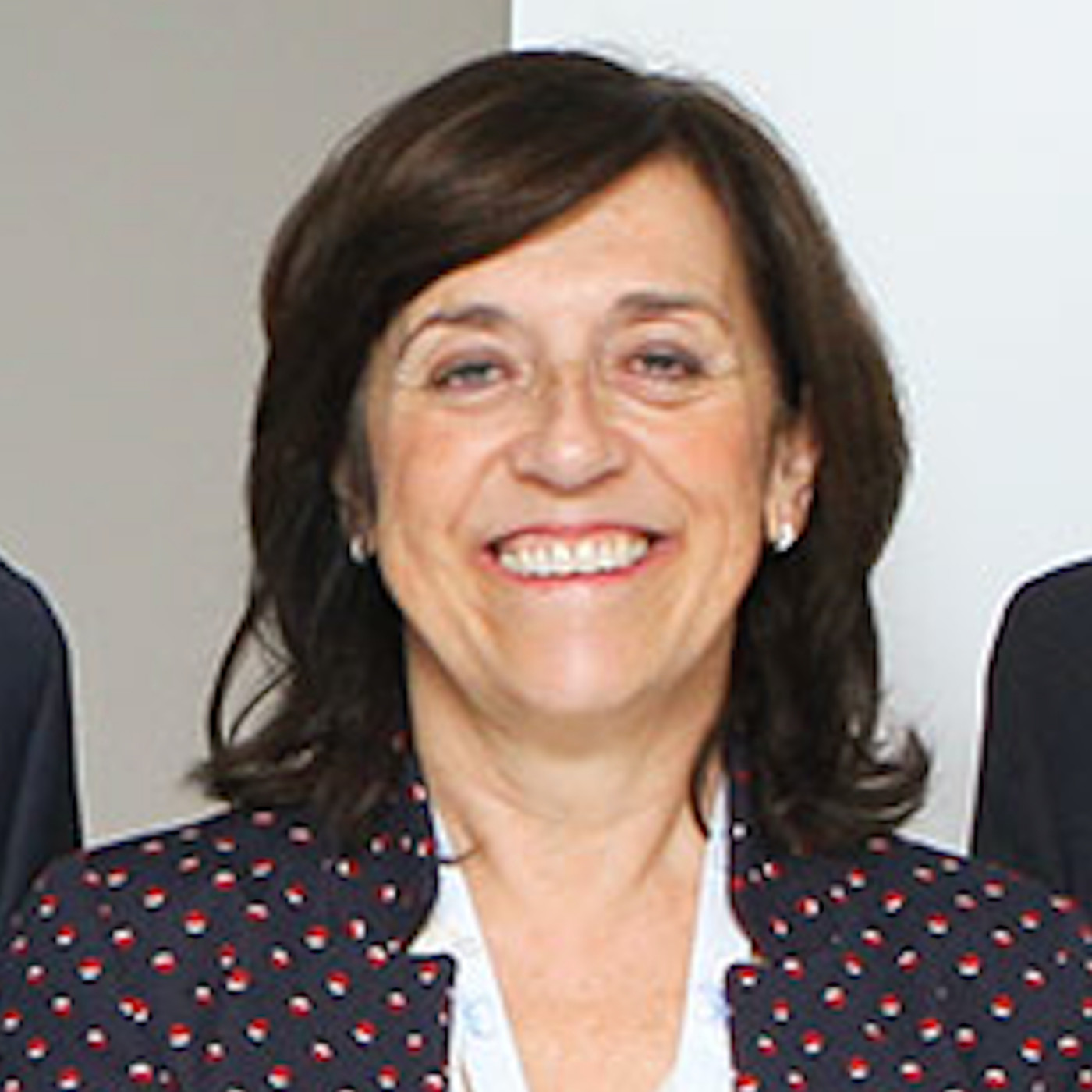 Entrevista a Anna Novials presidenta de la Sociedad Española de Diabetes episode artwork