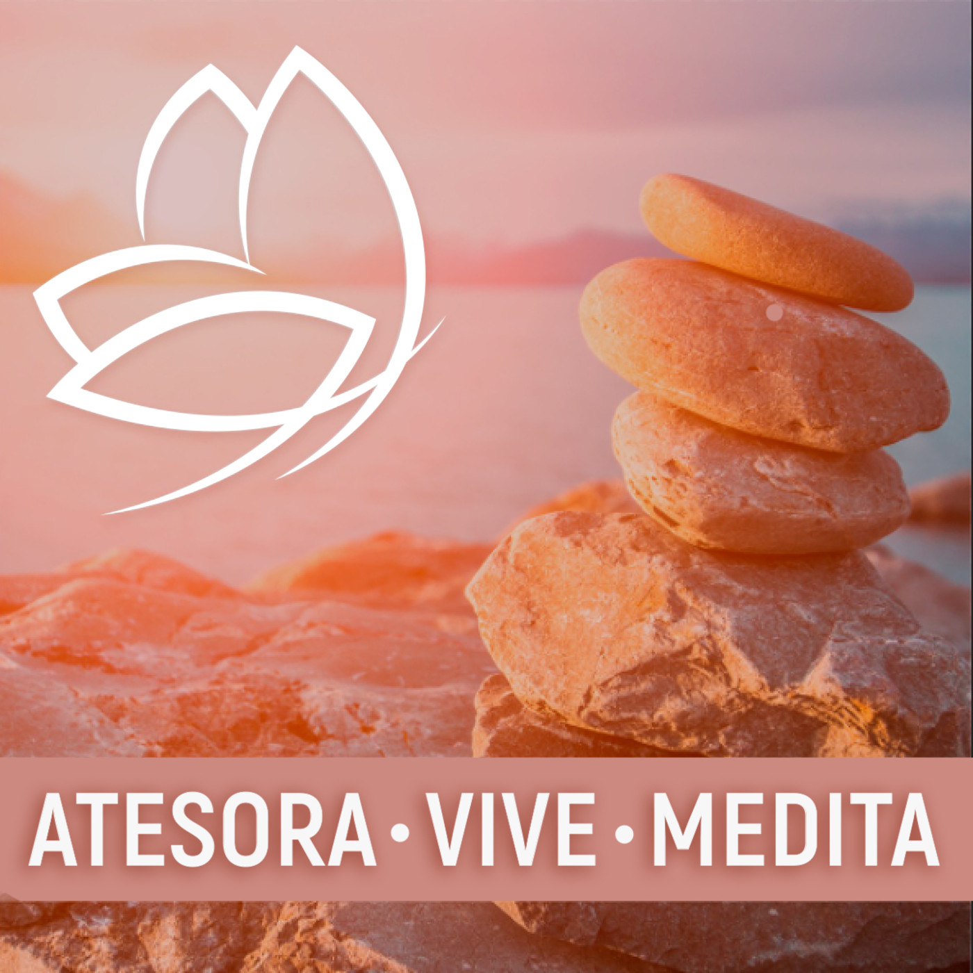 Atesora, vive, medita