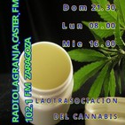 CREMA de CANNABIS fácil Receta casera para preparar ungüento marihuana Extracciones