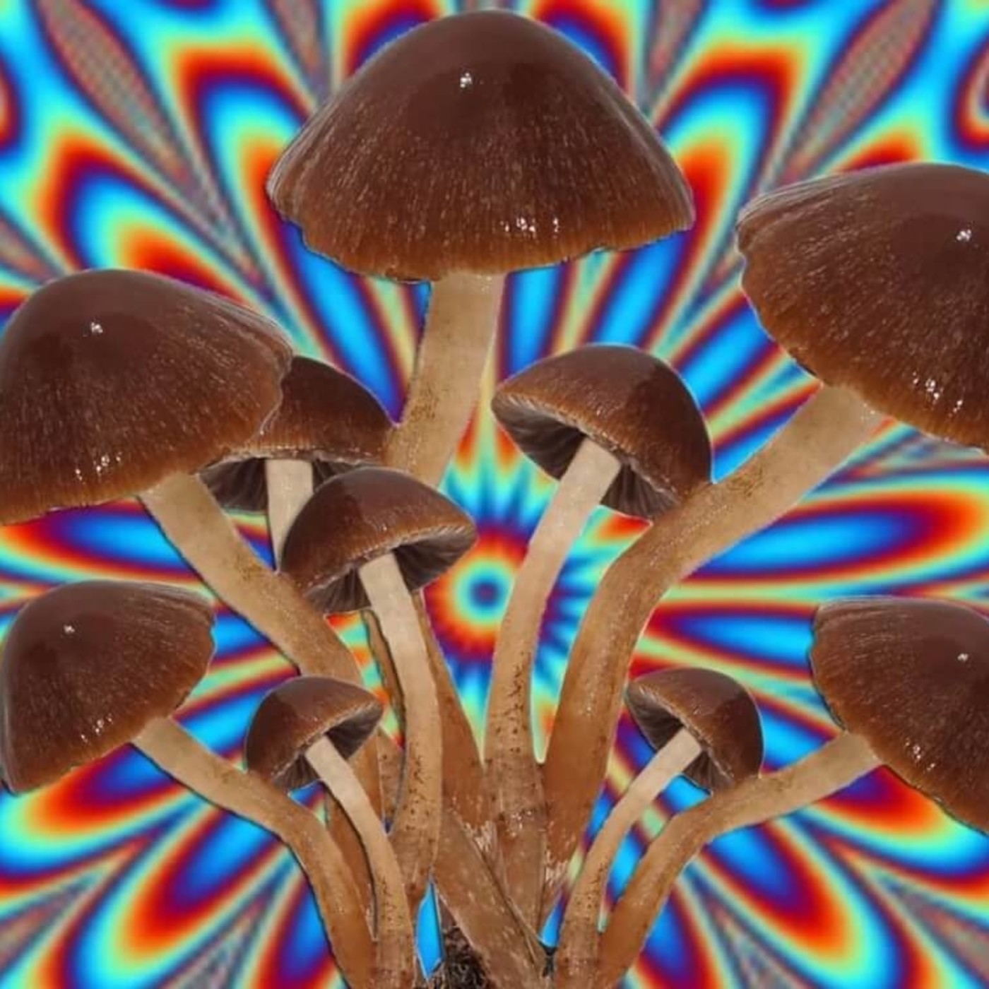 Breakthrough: 1- Adicción, Una Cura Psicodélica #documental #podcast # #ciencia episode artwork