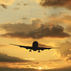 Vuelo de familia