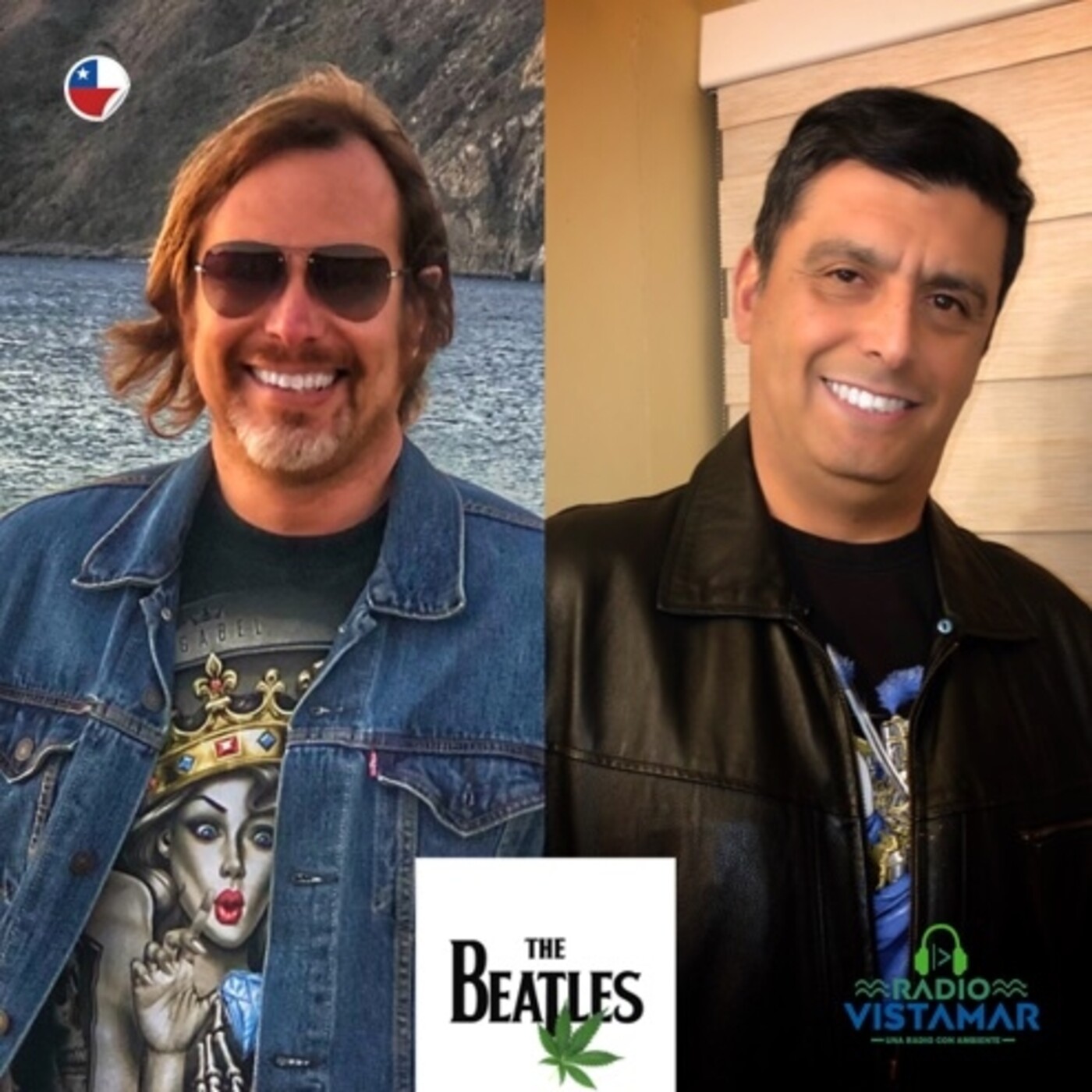 Los Beatles y otras Hierbas