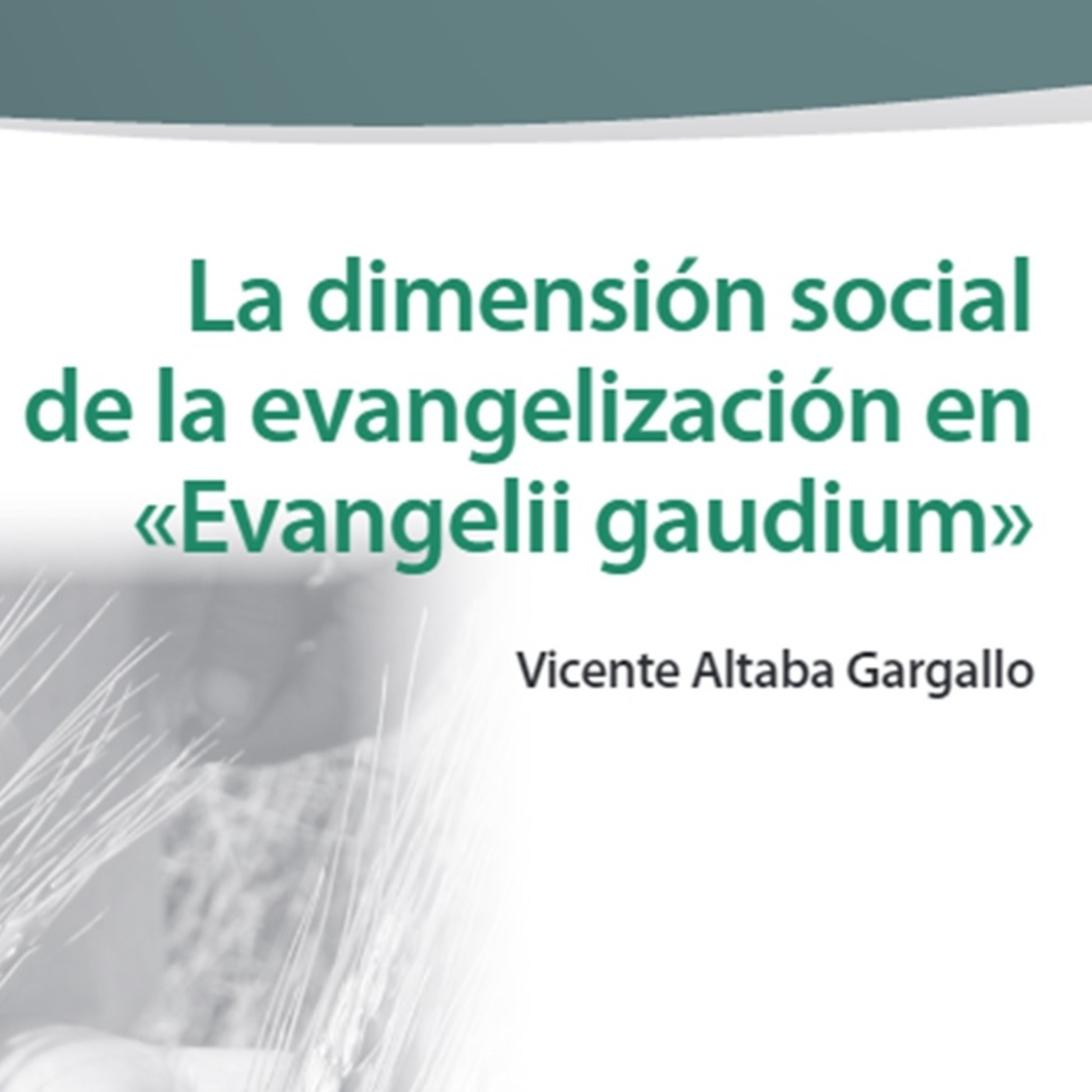 Charlas, conferencias y entrevistas