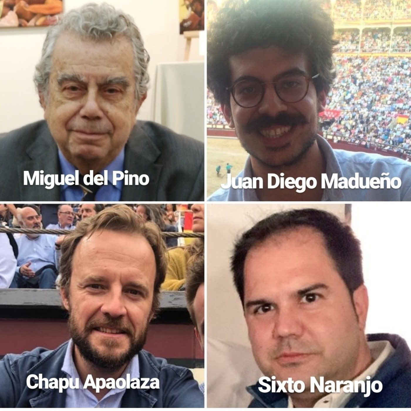 Cafés Taurinos del Wellington 2019