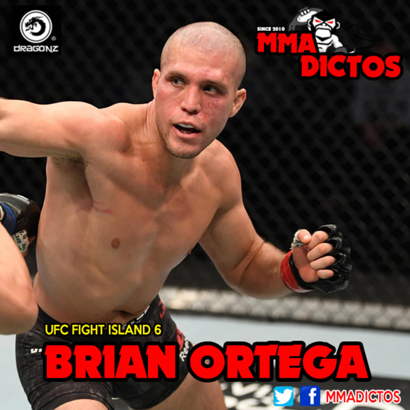 MMAdictos (MMA en Español)