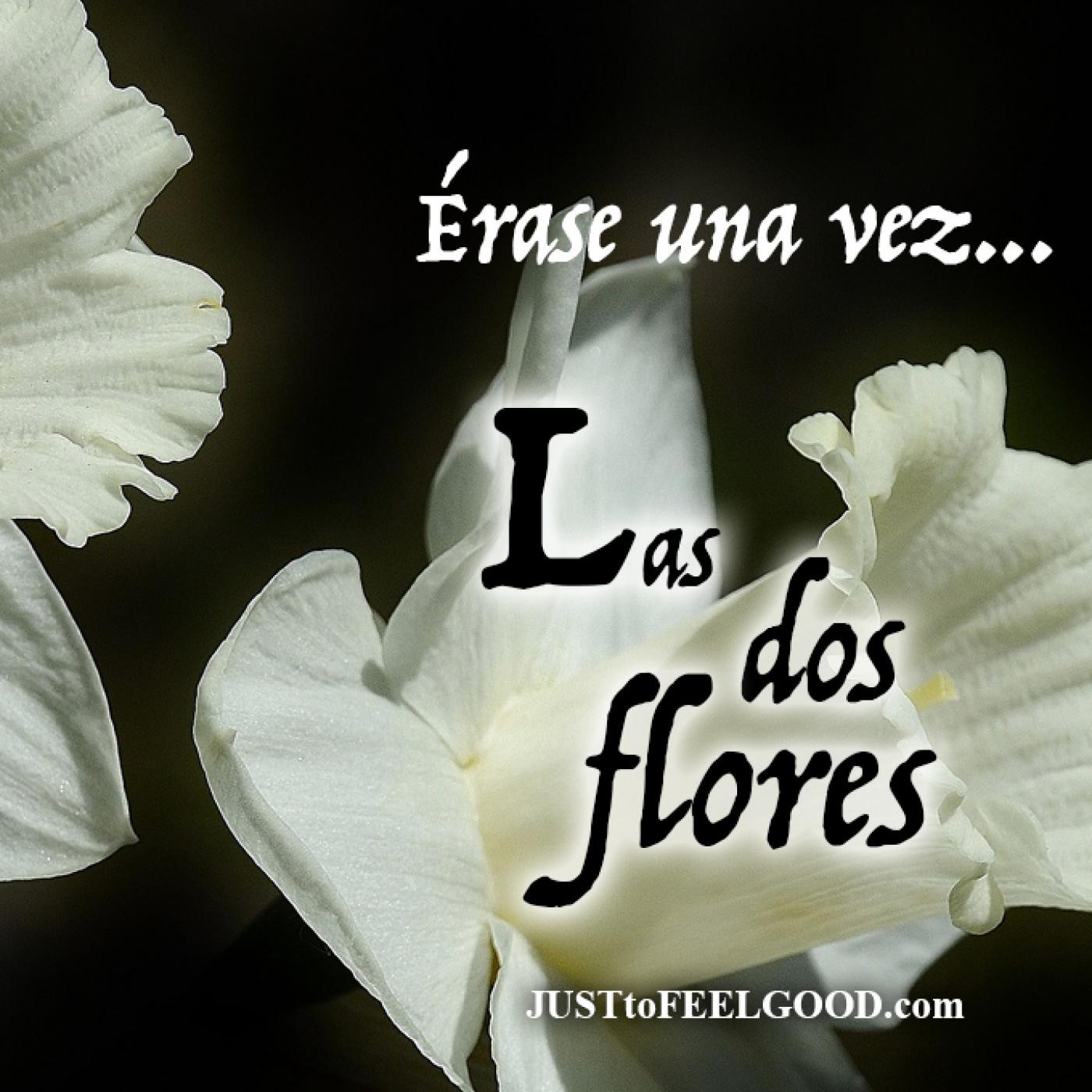 FEEL GOOD, by Estany Loriente