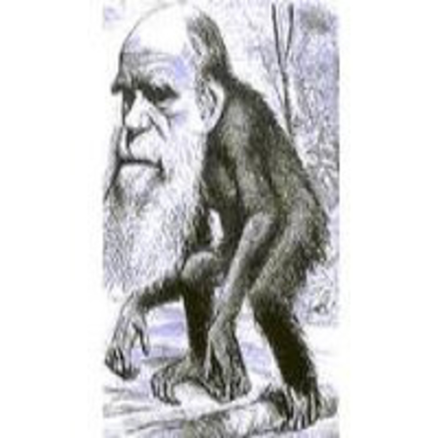 Charles Darwin (Mini Biografia nº 5)