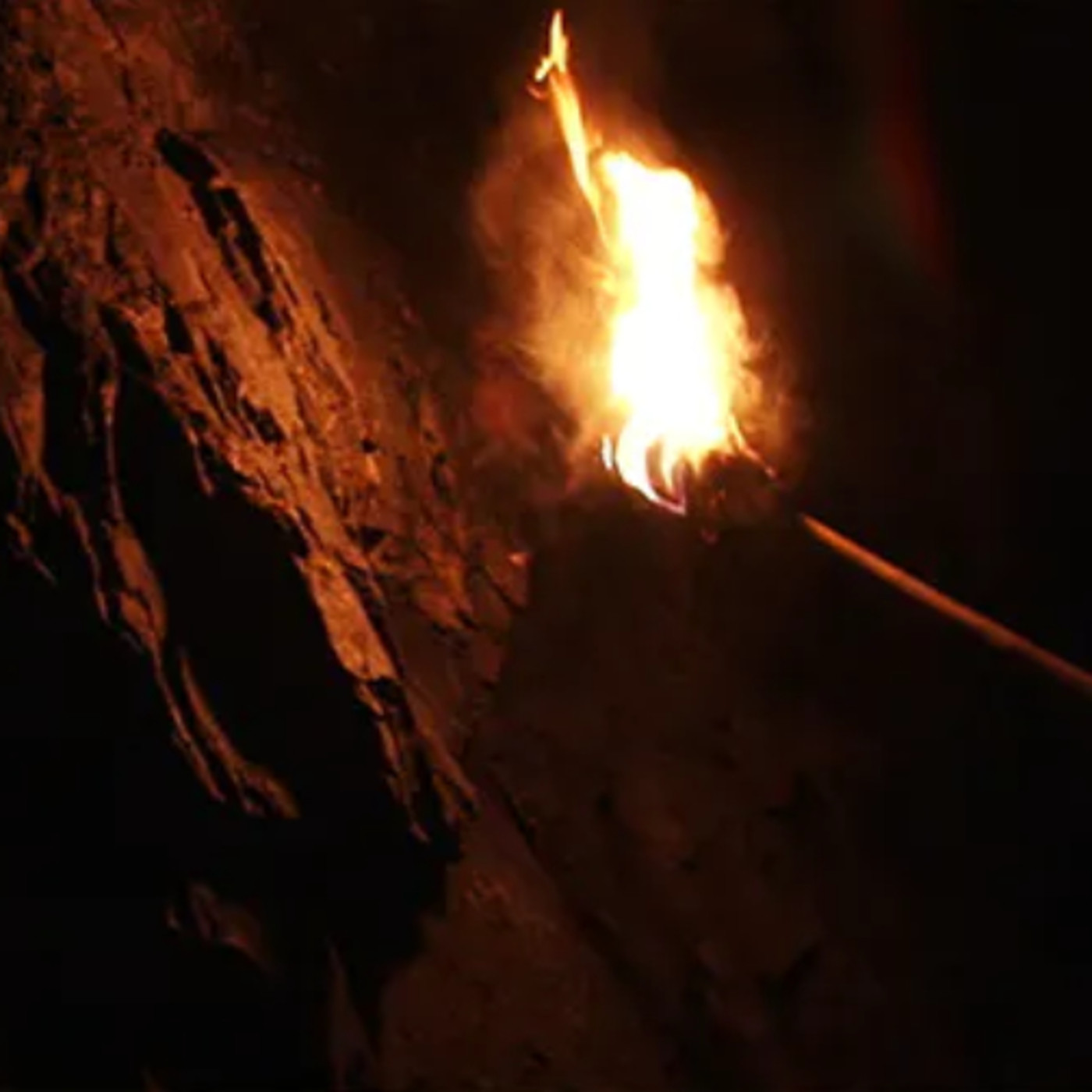 Cuentos del bosque oscuro