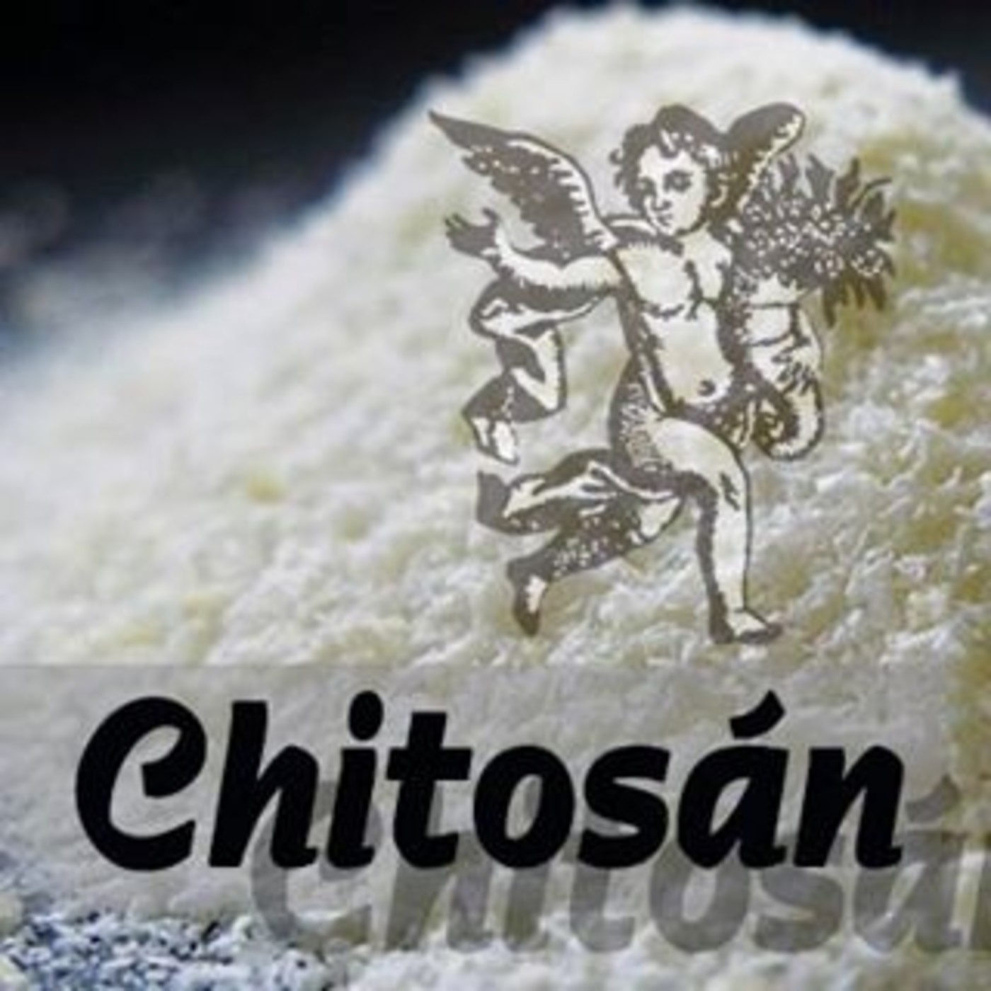 El Ángel de tu Salud - CHITOSÁN