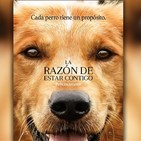 La razon de estar contigo | BANDA SONORA |Full Album|A Dog's Purpose