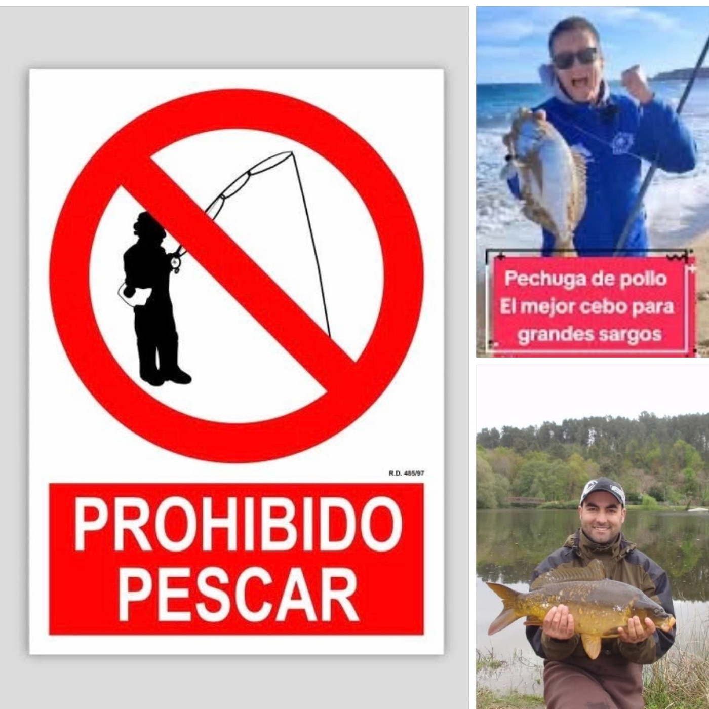 Rio de la Vida pesca