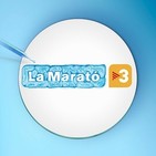 Espai Obert i Especial La Marató TV3_13 desembre