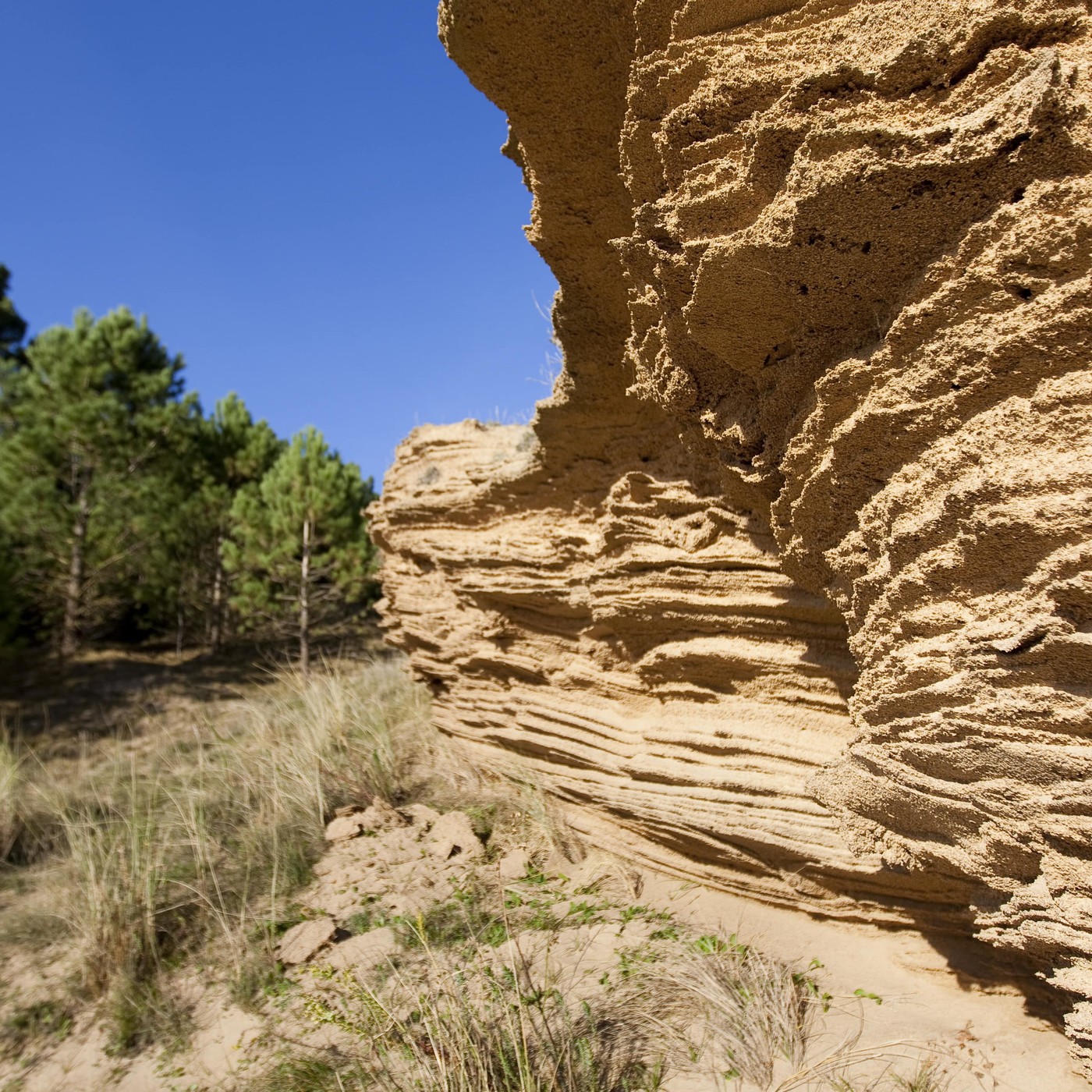 Visit Gorliz. Points d\'intérêt touristique