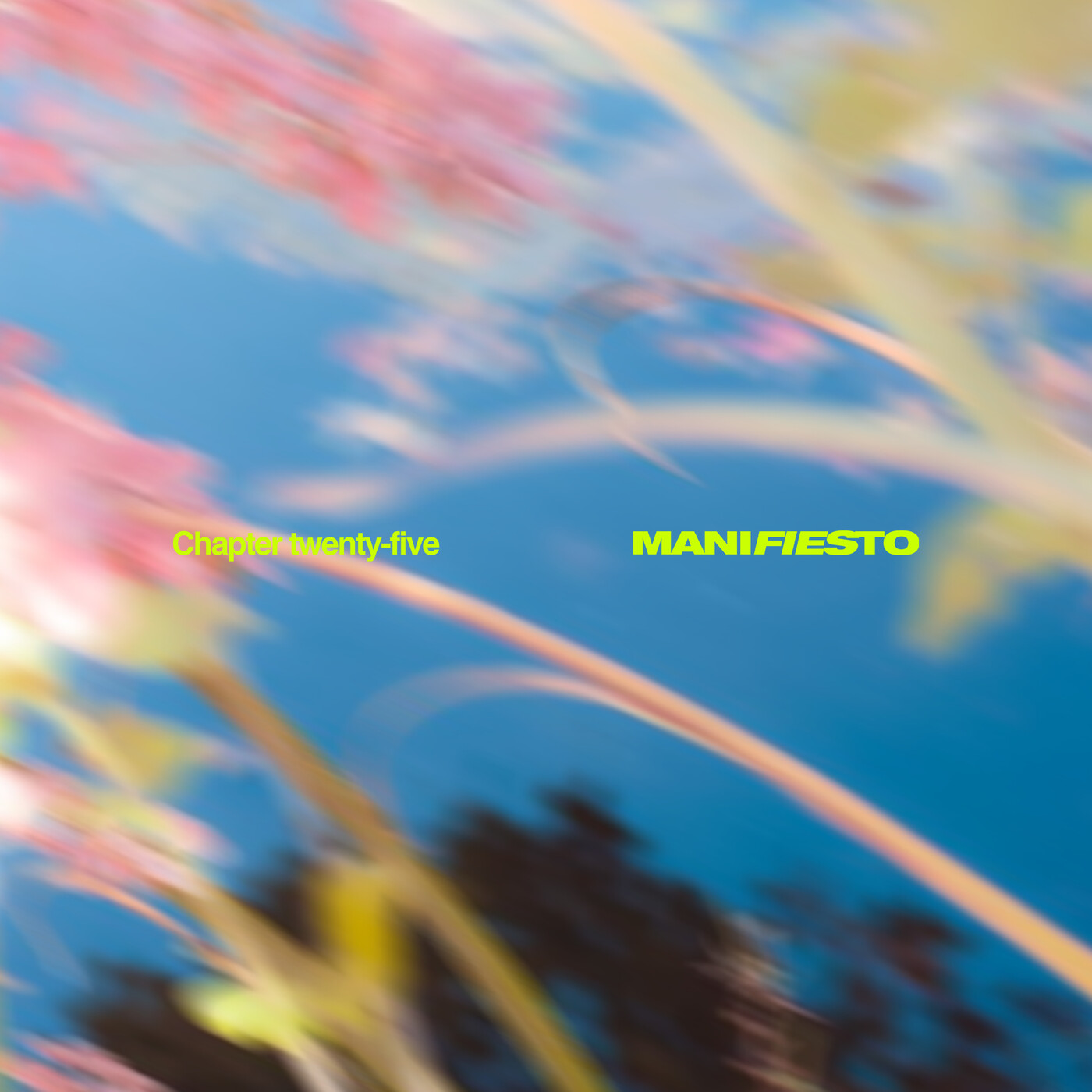 MANIFIESTO