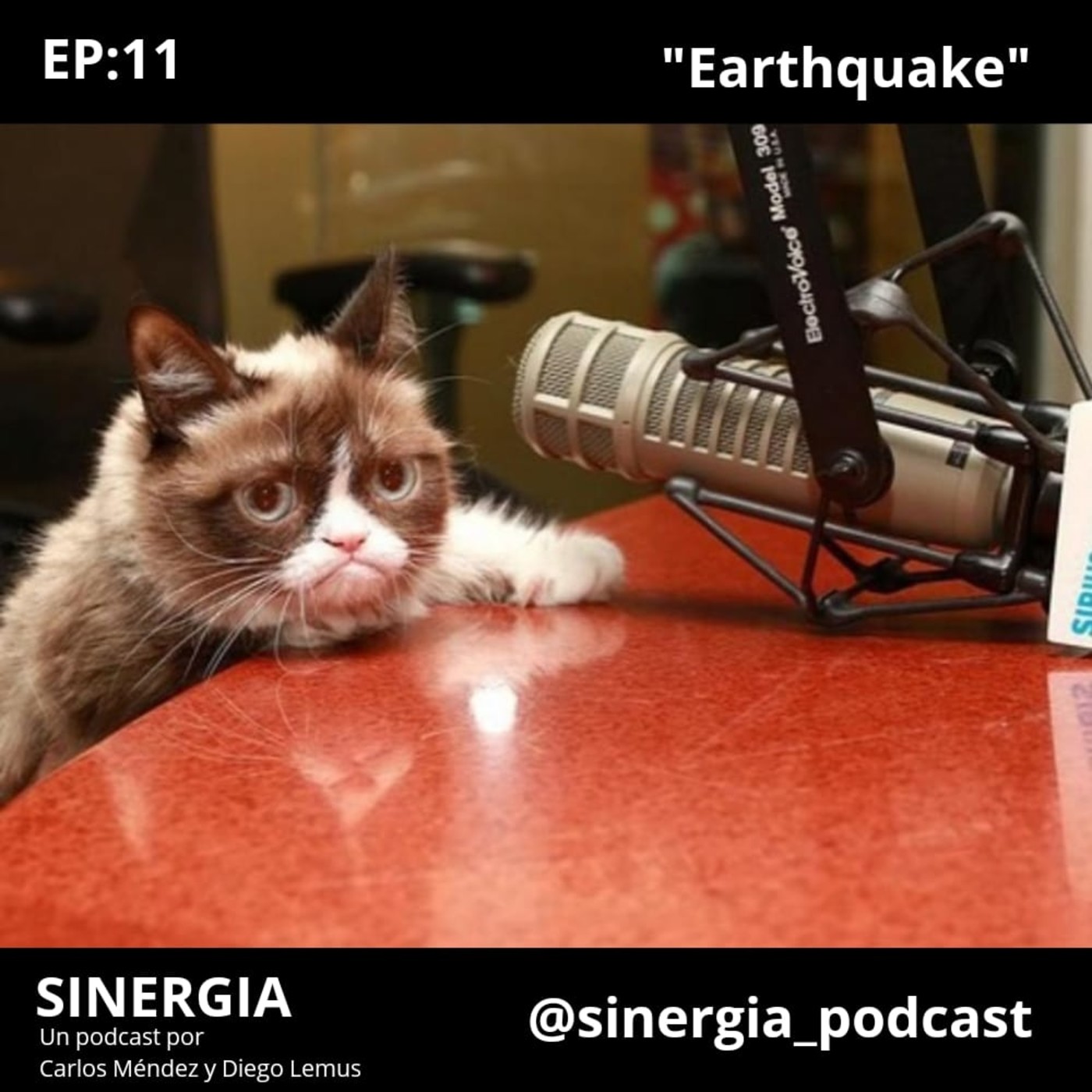 SINERGIA