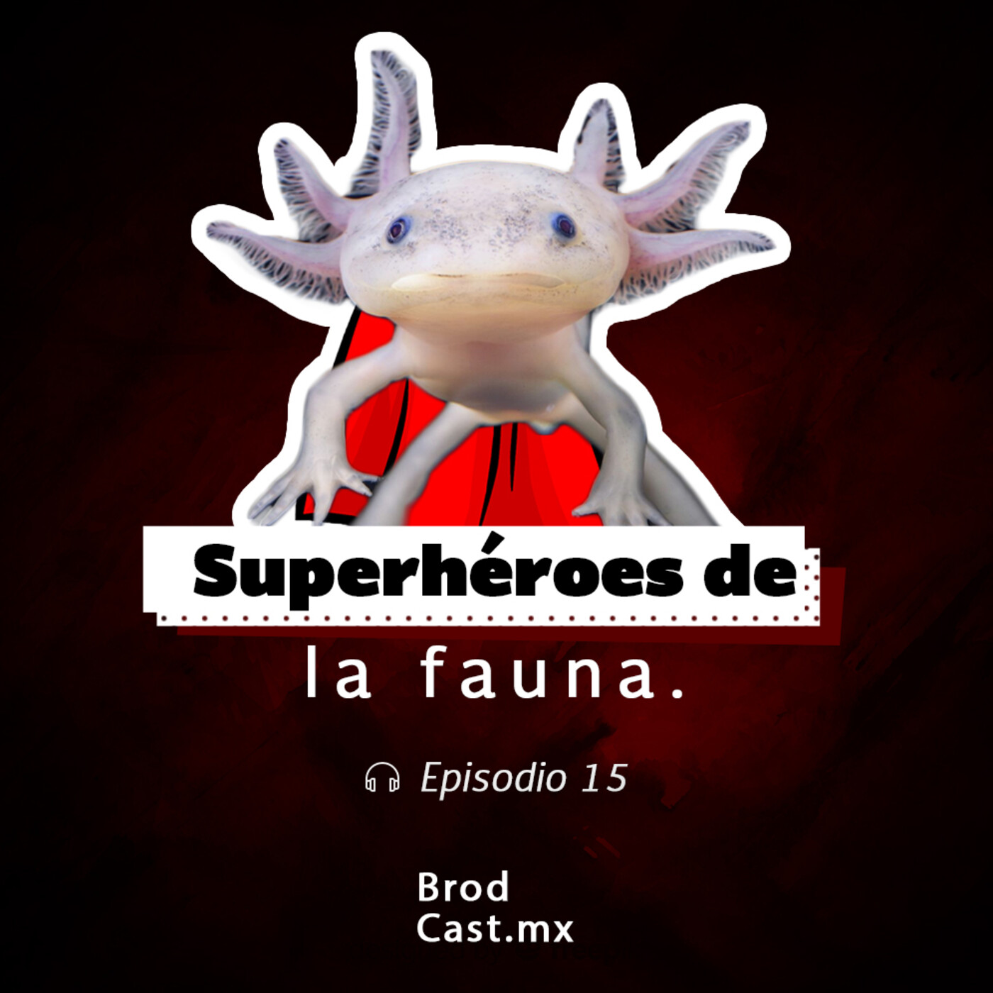 Brodcast.MX