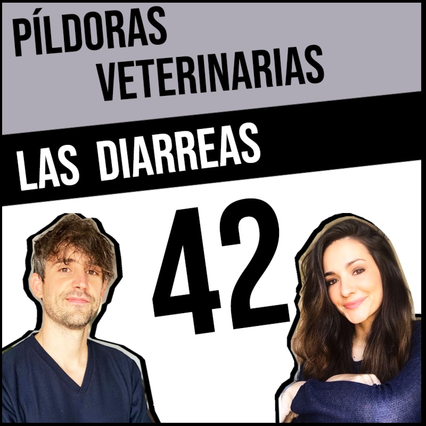 Píldoras Veterinarias