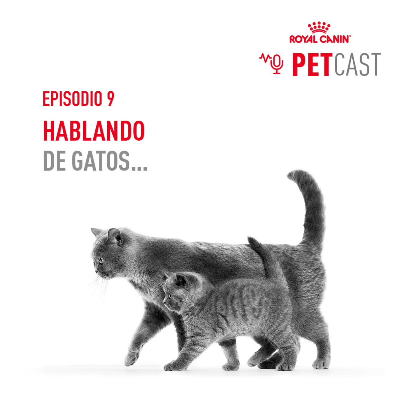 ROYAL CANIN PETCASTS ESPAÑA