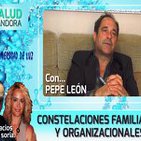 Constelaciones Familiares y Organizacionales por Pepe León