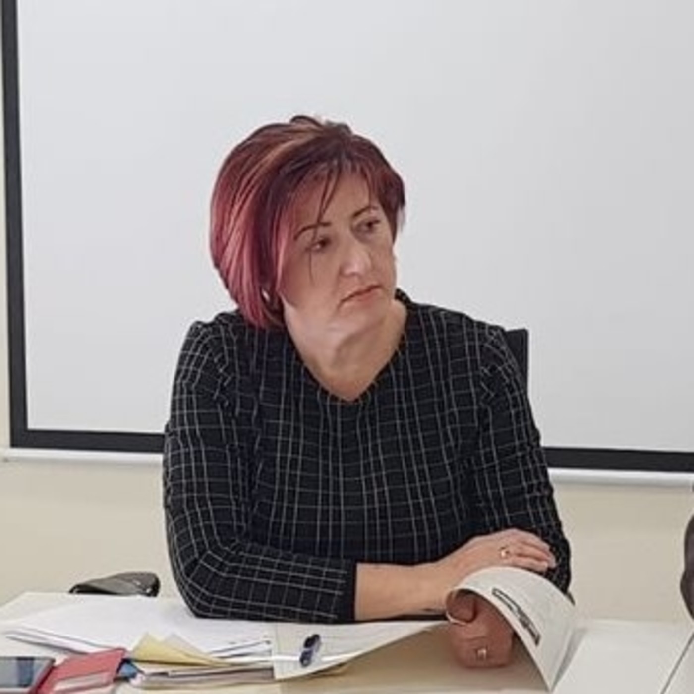 Podcast de Psoe Molina de Segura