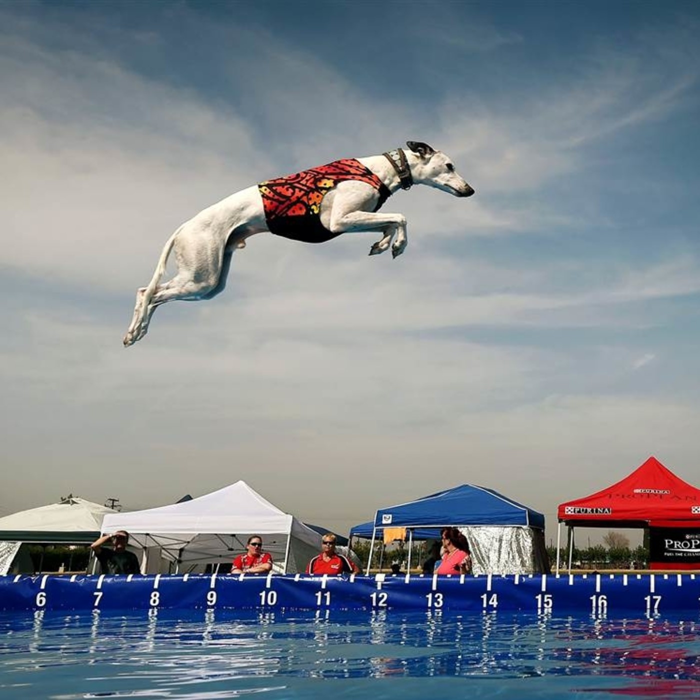 Mediteradio Pata-a-Pata