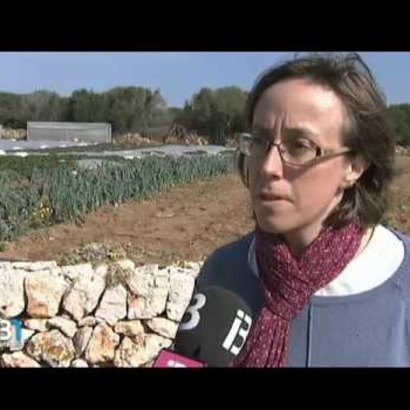 CITA de Aragón: Apariciones en radio