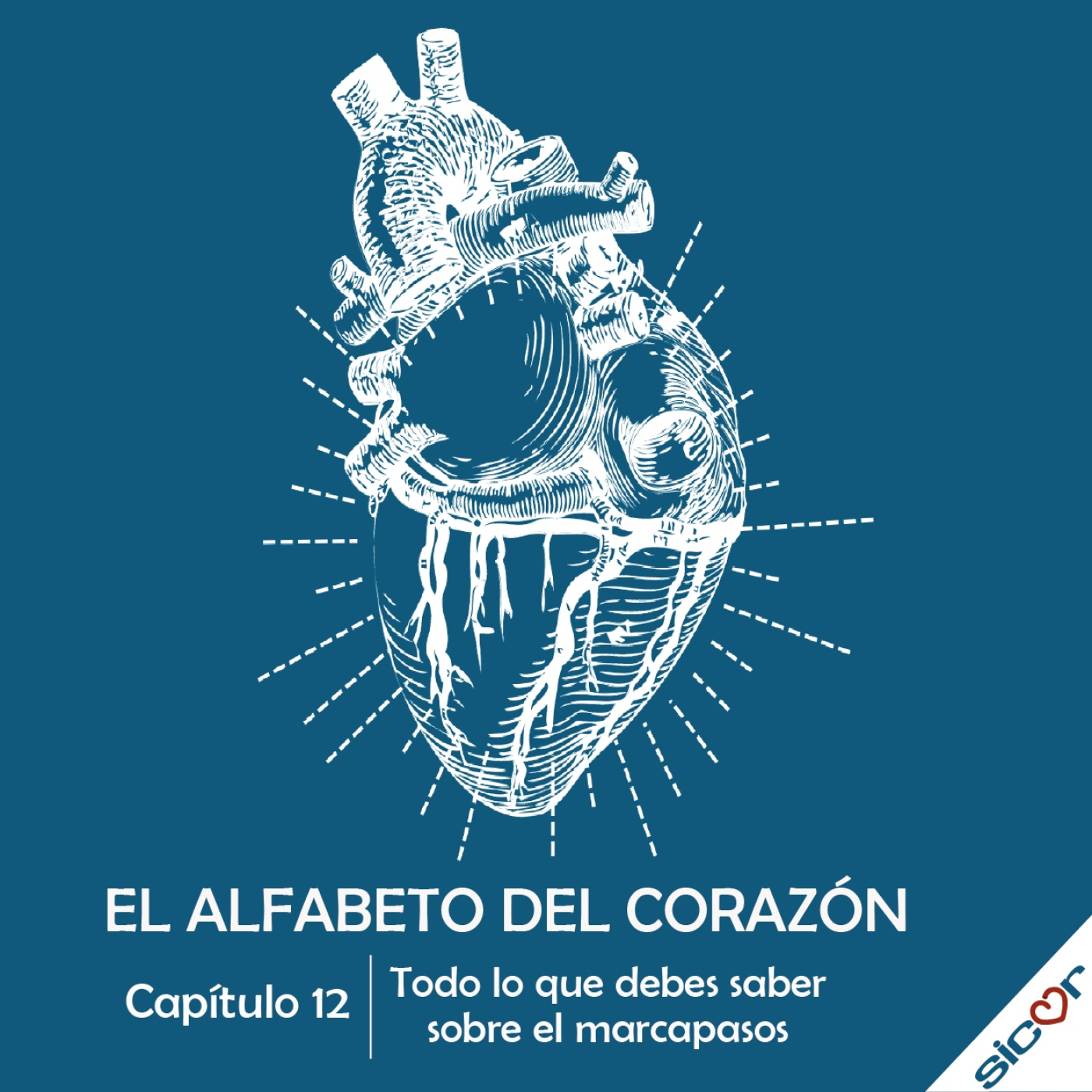 EL ALFABETO DEL CORAZÓN