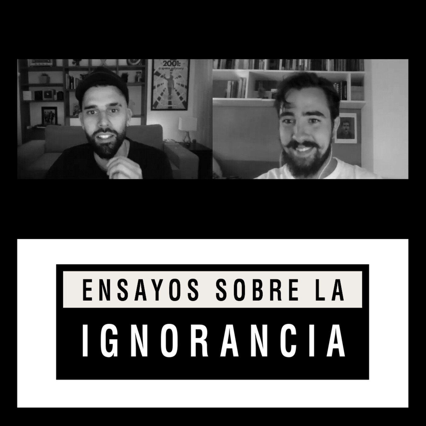 Ensayos sobre la ignorancia