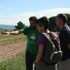 De Puertas al Campo – Melón de Torres de Berrellén (08/09/2018)