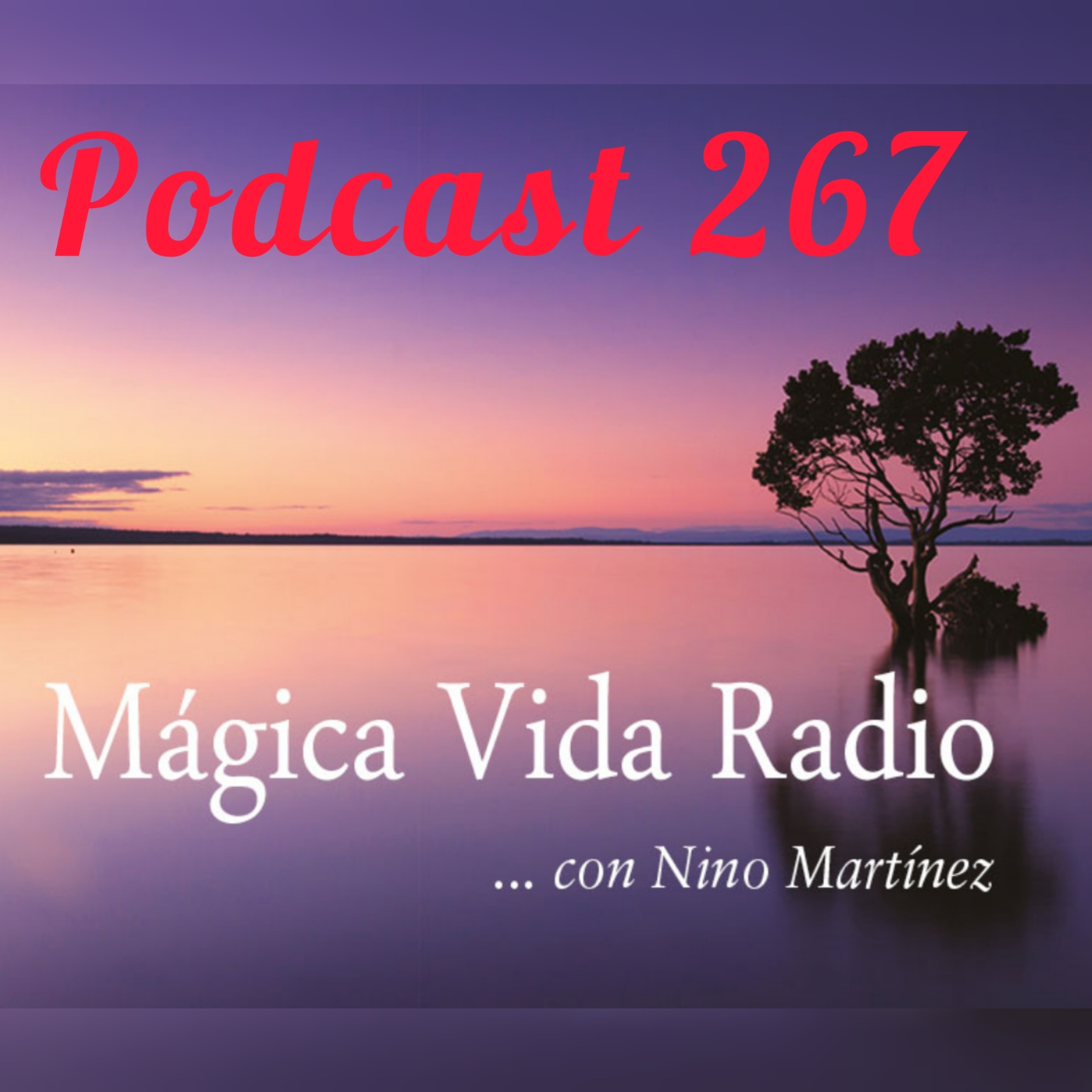 Mágica Vida Radio