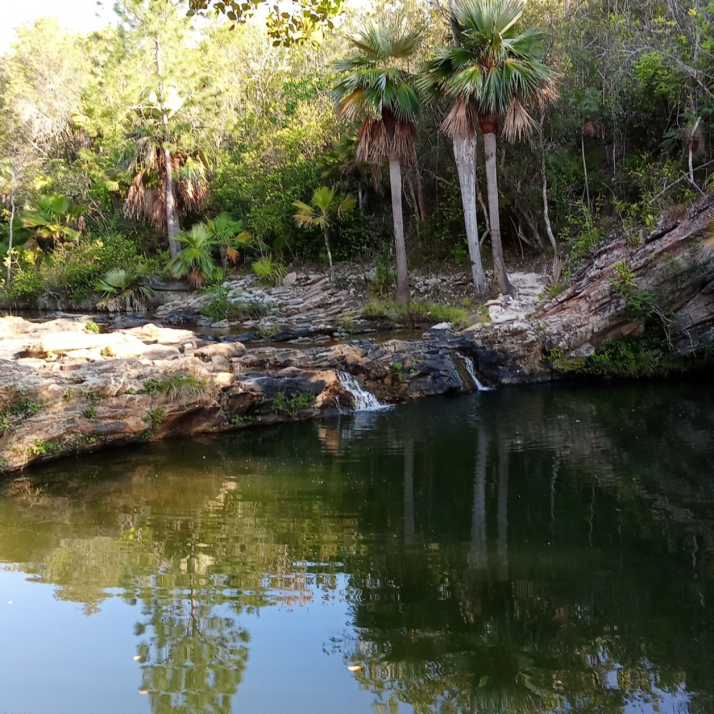 Rocío del Sol: el plan perfecto este verano