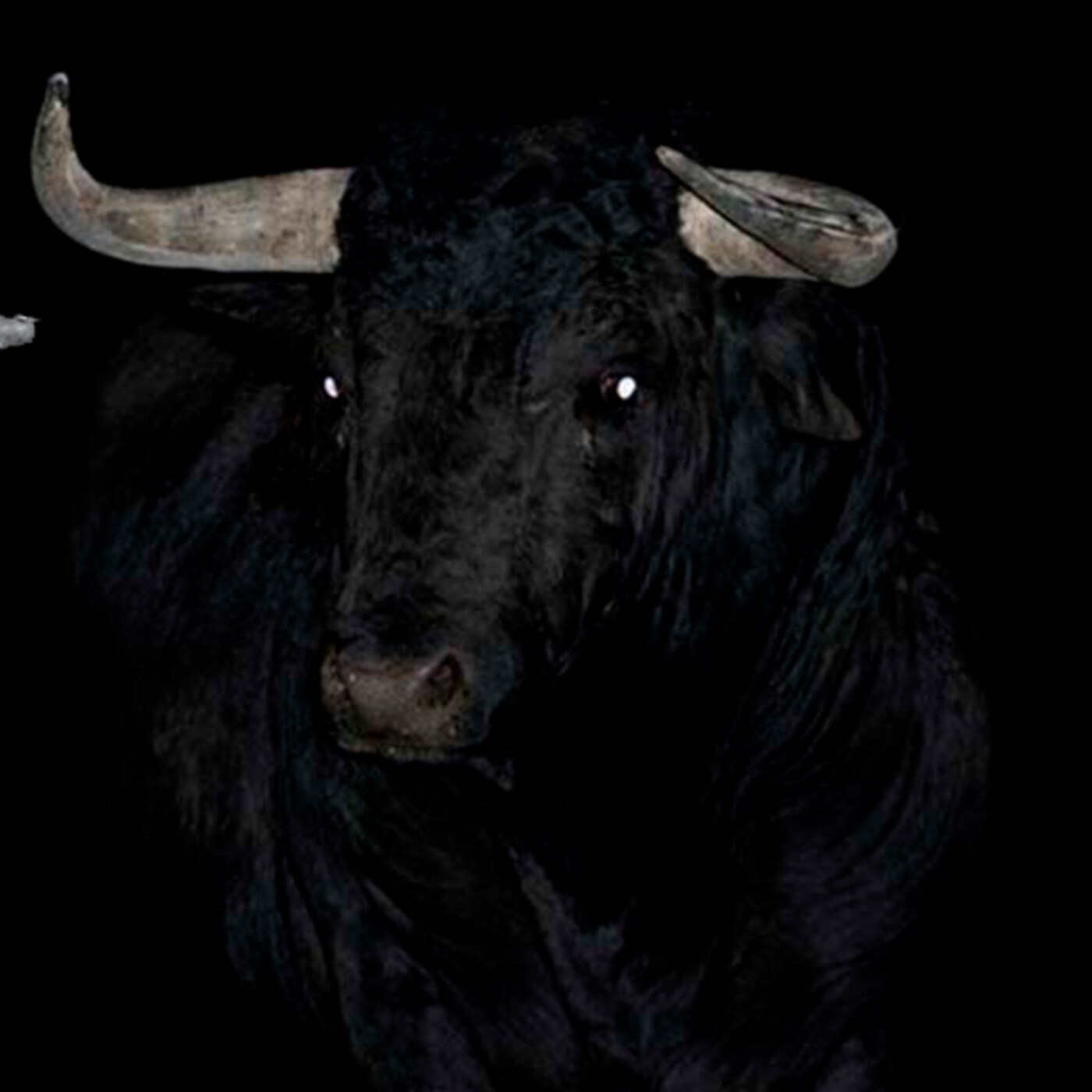 Manifestacion demoniaca y contacto con la llorona - Parte 2