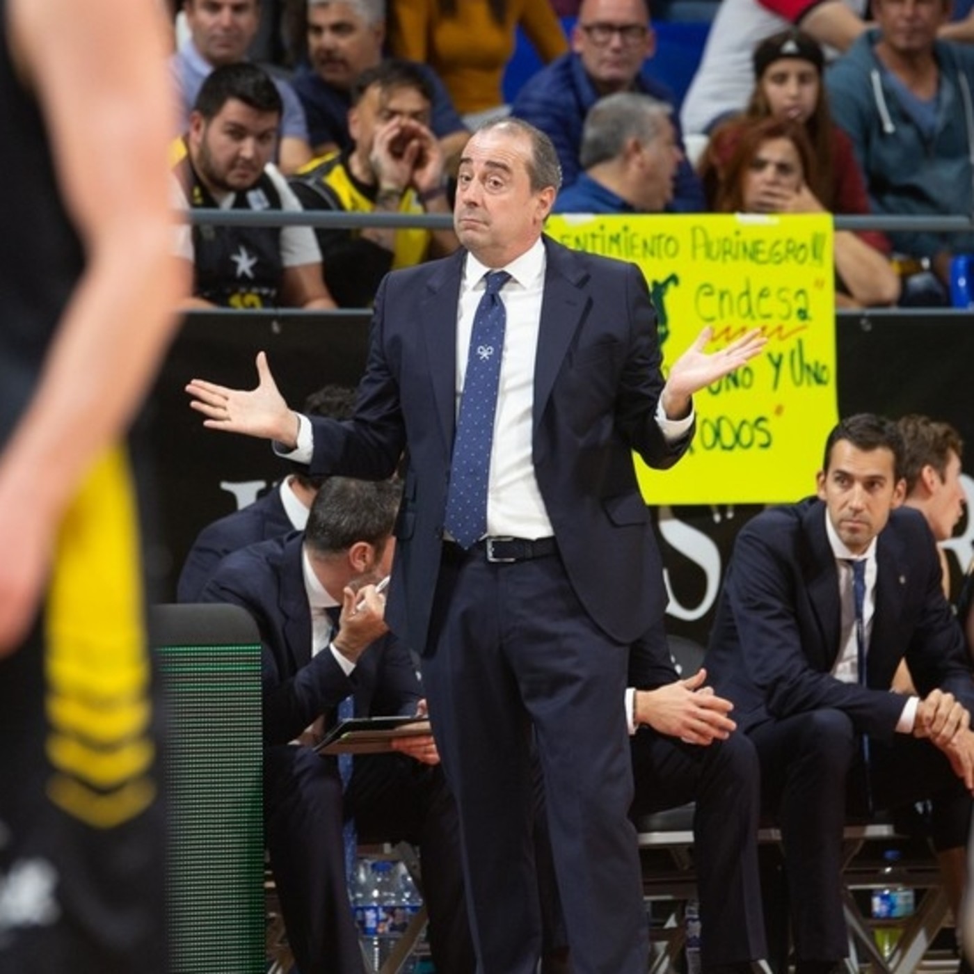 Txus Vidorreta - Canarias vs Baskonia - J12 ACB 2018/19 episode artwork
