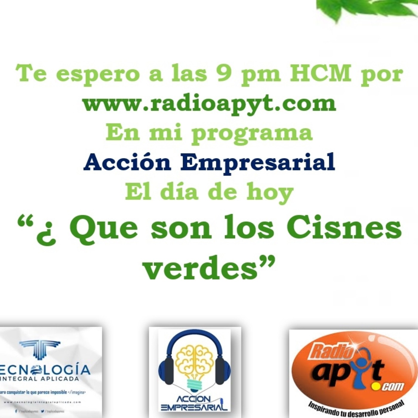 Axn Empresarial